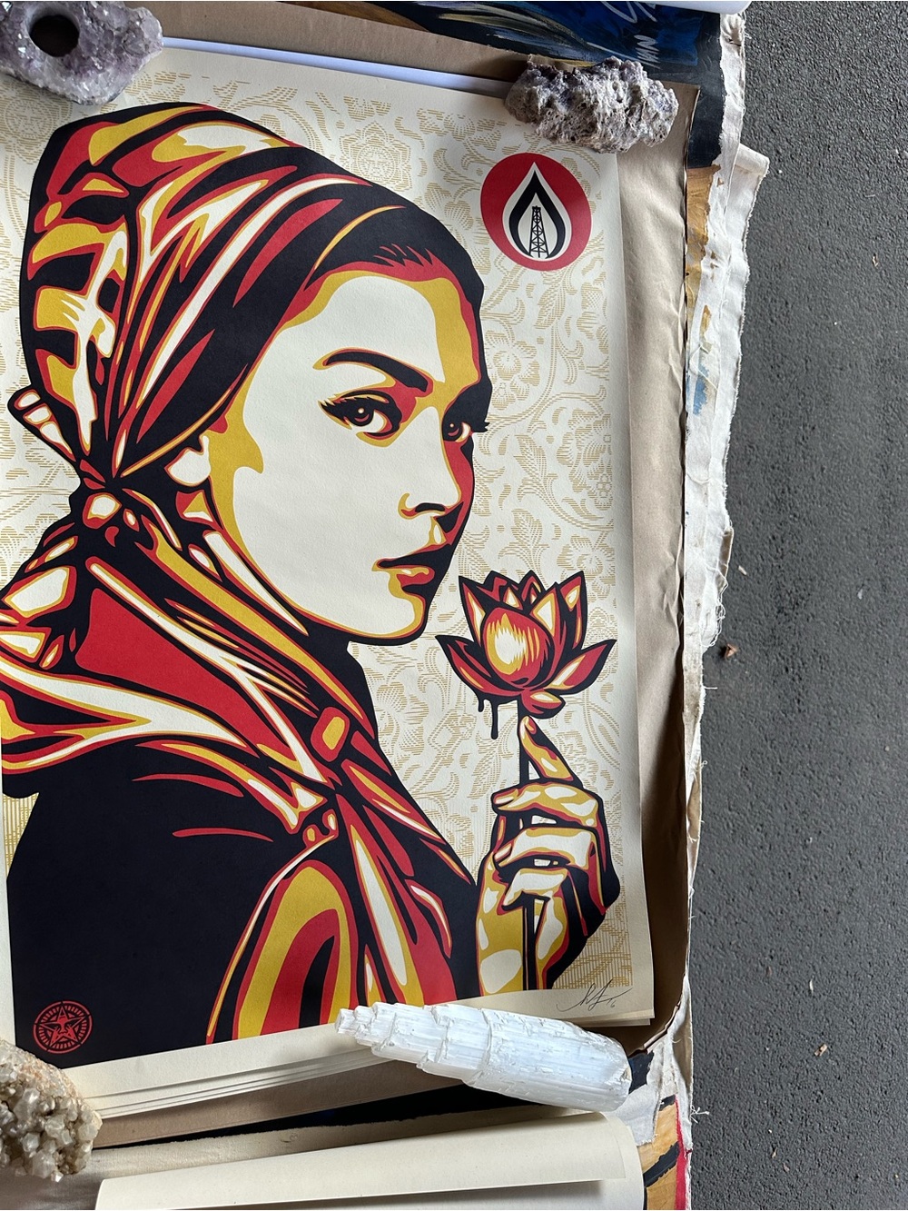 Red and Gold Lotus Woman Art Print by Shepard Feiry